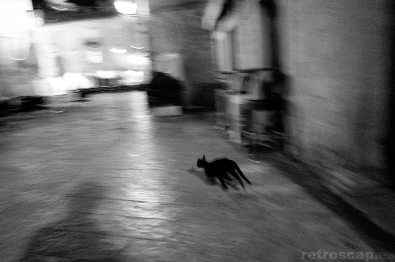 Night spirits, Kotor, Montenegro 2011