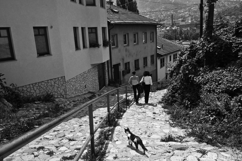 Descent, Sarajevo 2011