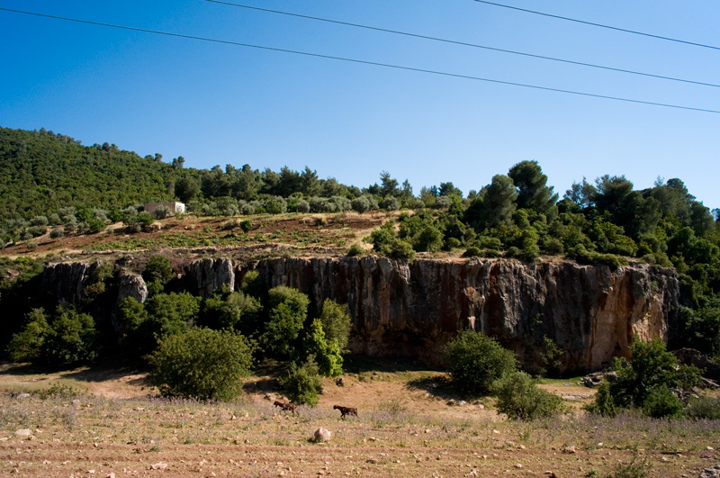 Al-Sofsafeh, Jordan 2012