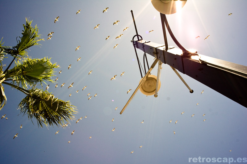 Cape Town Sunlight, 2012