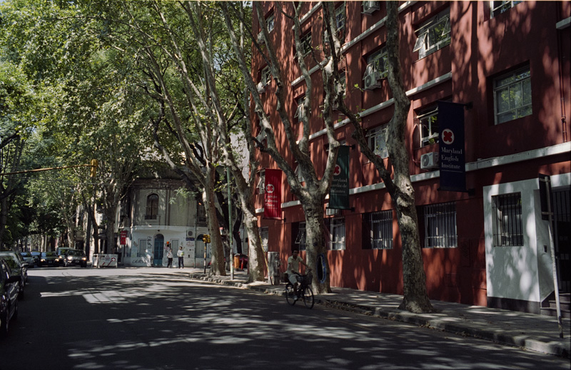 Leafy in Palermo, Buenos Aires 2013