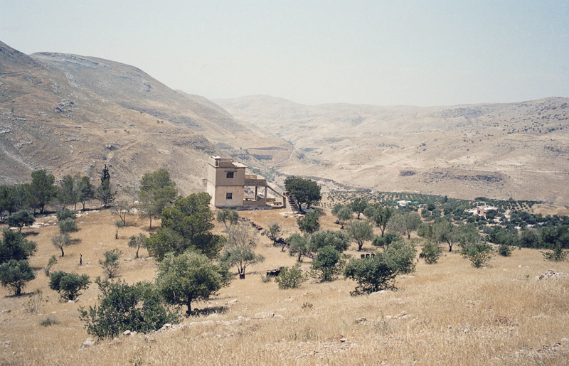 Wadi Shoaib, Al-Salt, Jordan