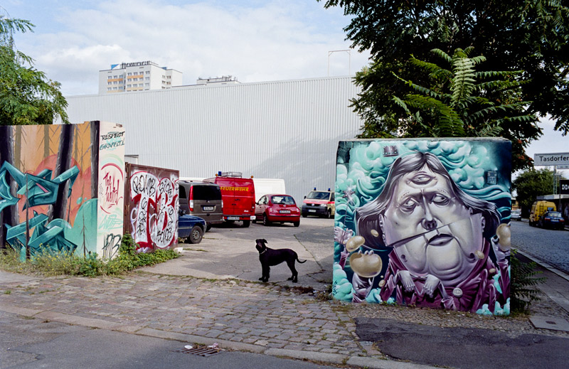 Wiesenweg, LIchtenberg 2013