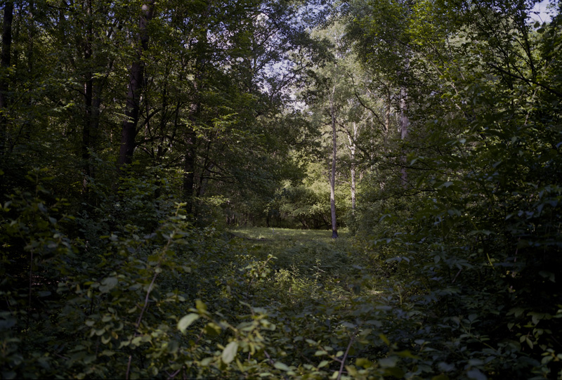 Usedom, Germany 2013