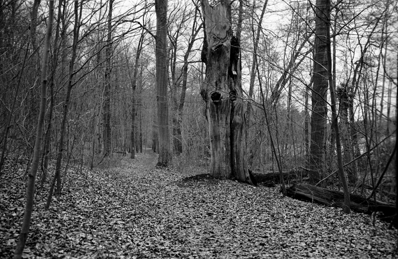 Hellsee, Brandenburg 2014