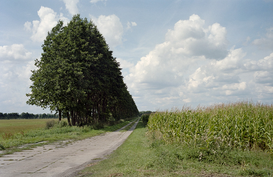 Elbe-Elster, Brandenburg 2014