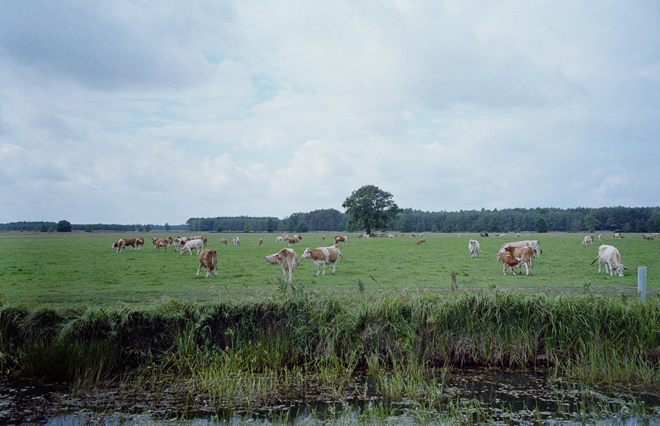 Schönewalde, Elbe-Elster 2014