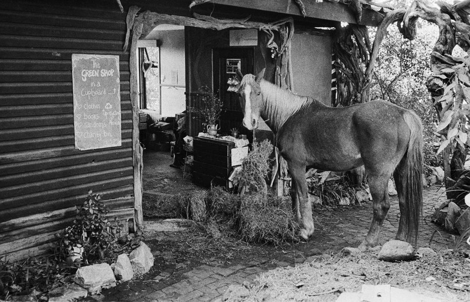 Wild Spirit, Nature's Valley 2012