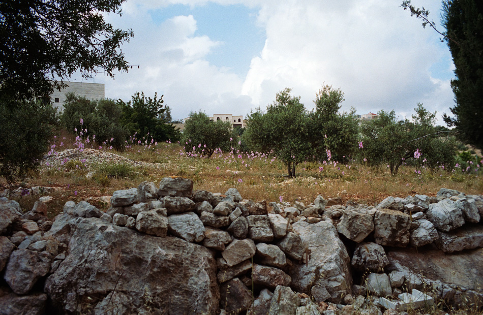 The Beauty that was once Amman, حي بلال,  Amman 2015