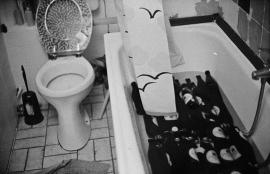 Untitled, Berlin 2012