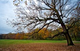 Treptower Park, Berlin 2012