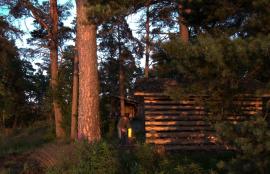 Lee, Gåsgrund Island, Espoo 2012